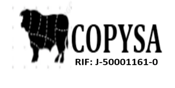 Logo de Copysa